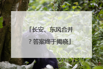 长安、东风合并？答案终于揭晓