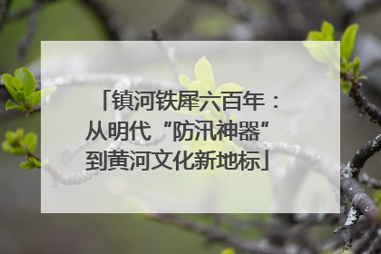 镇河铁犀六百年：从明代“防汛神器”到黄河文化新地标