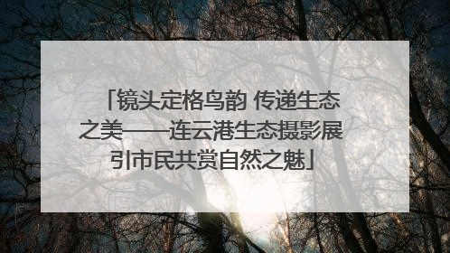 镜头定格鸟韵 传递生态之美——连云港生态摄影展引市民共赏自然之魅