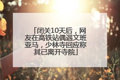闭关10天后，网友在高铁站偶遇文班亚马，少林寺回应称其已离开寺院