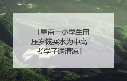 阜南一小学生用压岁钱买水为中高考学子送清凉