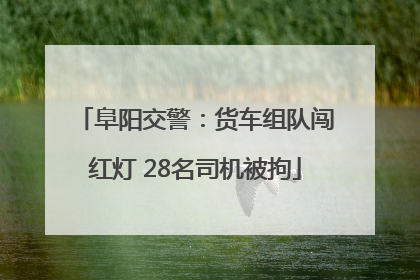 阜阳交警：货车组队闯红灯 28名司机被拘