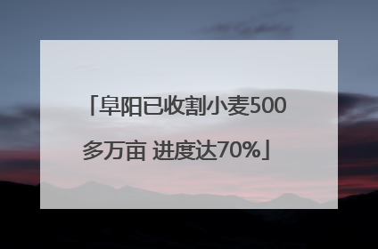 阜阳已收割小麦500多万亩 进度达70%