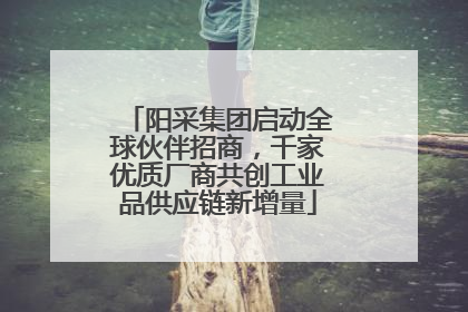 阳采集团启动全球伙伴招商，千家优质厂商共创工业品供应链新增量