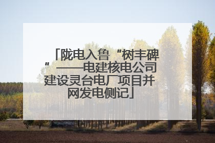 陇电入鲁“树丰碑”——电建核电公司建设灵台电厂项目并网发电侧记