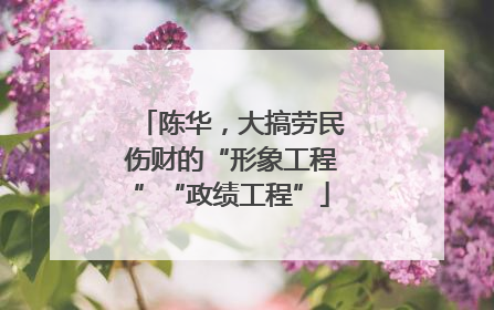 陈华，大搞劳民伤财的“形象工程”“政绩工程”