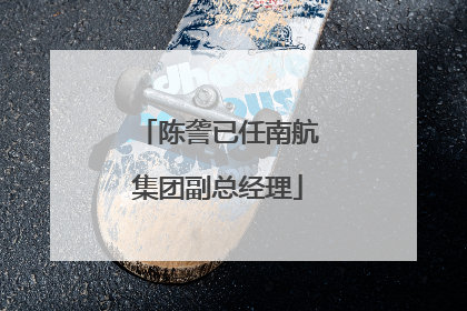 陈詟已任南航集团副总经理