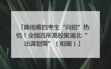 降雨难挡考生“问招”热情！全国百所高校聚湖北“出谋划策”（组图）