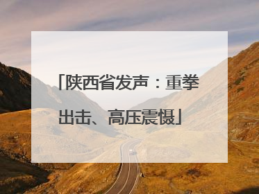 陕西省发声：重拳出击、高压震慑