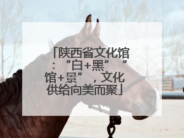 陕西省文化馆：“白+黑”“馆+景”，文化供给向美而聚