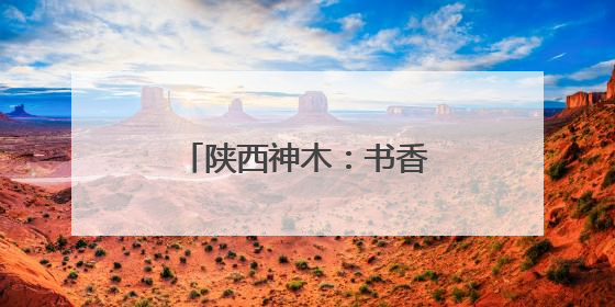 陕西神木：书香浸润城市肌理 阅读点亮美好生活