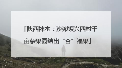 陕西神木：沙峁镇兴四村千亩杂果园结出“杏”福果