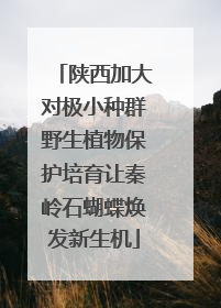 陕西加大对极小种群野生植物保护培育让秦岭石蝴蝶焕发新生机