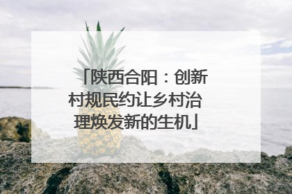 陕西合阳：创新村规民约让乡村治理焕发新的生机
