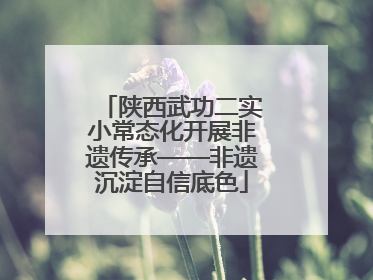 陕西武功二实小常态化开展非遗传承——非遗沉淀自信底色
