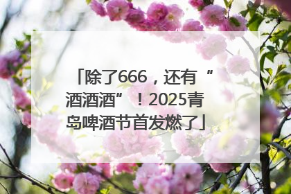 除了666，还有“酒酒酒”！2025青岛啤酒节首发燃了