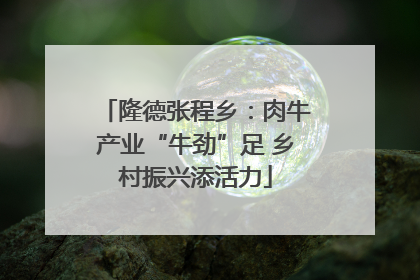 隆德张程乡：肉牛产业“牛劲”足 乡村振兴添活力