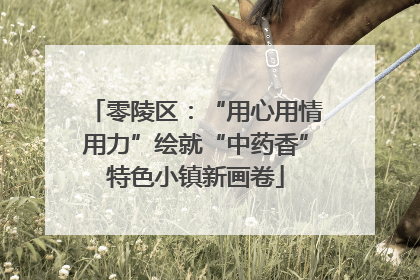 零陵区：“用心用情用力”绘就“中药香”特色小镇新画卷