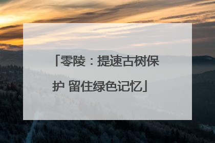 零陵：提速古树保护 留住绿色记忆
