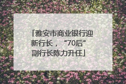 雅安市商业银行迎新行长，“70后”副行长陈力升任