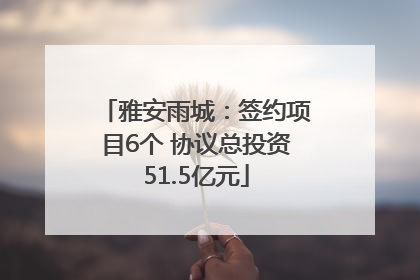雅安雨城：签约项目6个 协议总投资51.5亿元