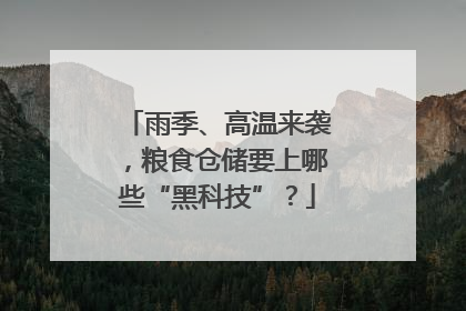 雨季、高温来袭，粮食仓储要上哪些“黑科技”？