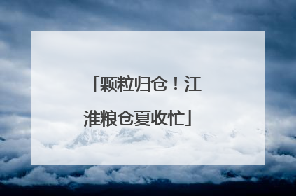 颗粒归仓！江淮粮仓夏收忙