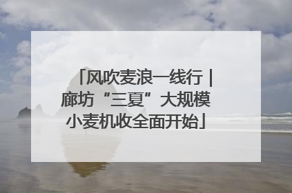 风吹麦浪一线行｜廊坊“三夏”大规模小麦机收全面开始