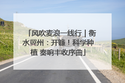 风吹麦浪一线行｜衡水冀州：开镰！科学种植 奏响丰收序曲