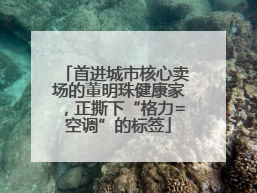首进城市核心卖场的董明珠健康家，正撕下“格力=空调”的标签