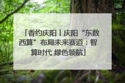 香约庆阳丨庆阳“东数西算”布局未来赛道：智算时代 绿色领航