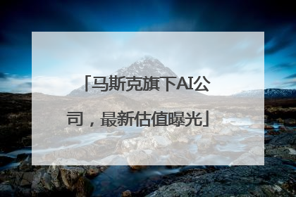 马斯克旗下AI公司，最新估值曝光