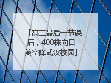 高三最后一节课后，400株向日葵空降武汉校园