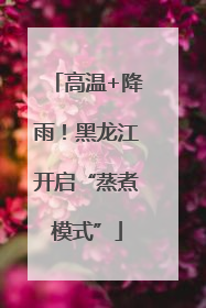 高温+降雨！黑龙江开启“蒸煮模式”