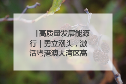 高质量发展能源行｜勇立潮头，激活粤港澳大湾区高质量发展动力源
