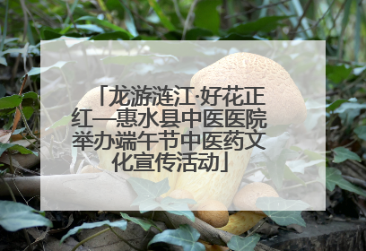 龙游涟江·好花正红—惠水县中医医院举办端午节中医药文化宣传活动