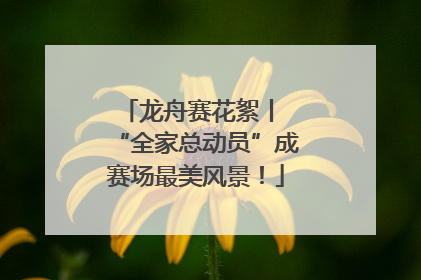 龙舟赛花絮丨 “全家总动员”成赛场最美风景！