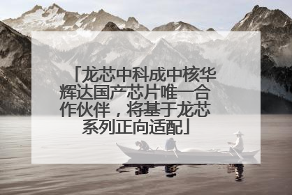 龙芯中科成中核华辉达国产芯片唯一合作伙伴，将基于龙芯系列正向适配