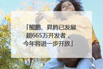 鲲鹏、昇腾已发展超665万开发者，今年将进一步开放