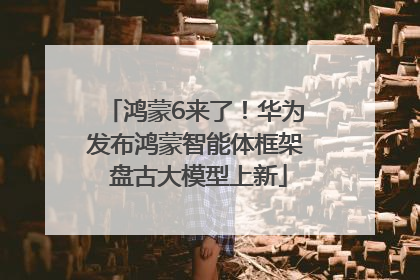 鸿蒙6来了！华为发布鸿蒙智能体框架 盘古大模型上新