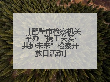 鹤壁市检察机关举办“携手关爱·共护未来”检察开放日活动