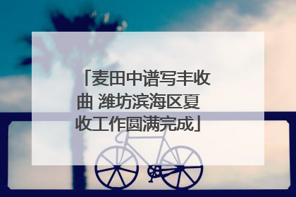 麦田中谱写丰收曲 潍坊滨海区夏收工作圆满完成