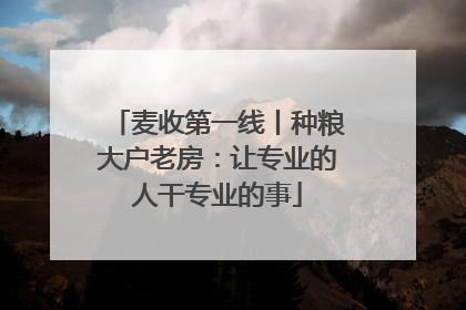 麦收第一线丨种粮大户老房：让专业的人干专业的事