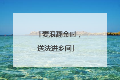 麦浪翻金时，送法进乡间