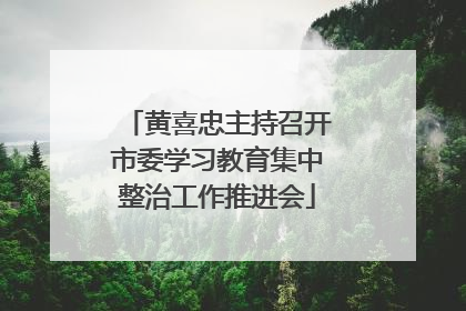 黄喜忠主持召开市委学习教育集中整治工作推进会