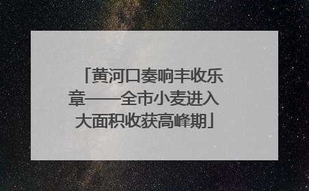 黄河口奏响丰收乐章——全市小麦进入大面积收获高峰期