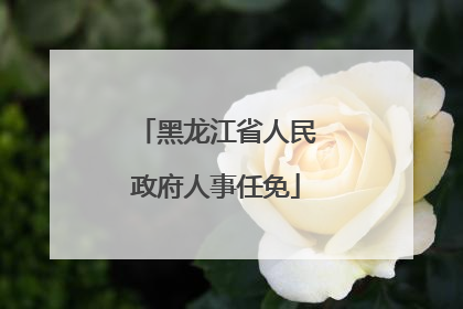 黑龙江省人民政府人事任免
