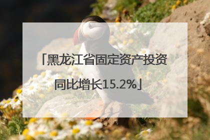 黑龙江省固定资产投资同比增长15.2%
