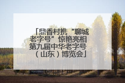 鼎香村携“聊城老字号”惊艳亮相第九届中华老字号（山东）博览会