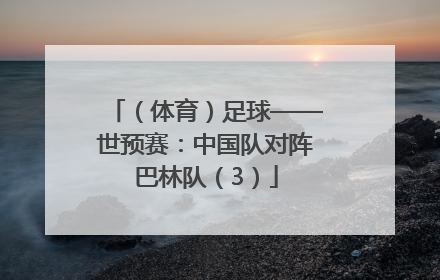 （体育）足球——世预赛：中国队对阵巴林队（3）